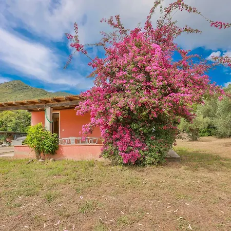 Villino Lampone - Goelba Villa *